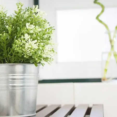 Sao Paulo Penthouse Duplex With Amazing View Daire